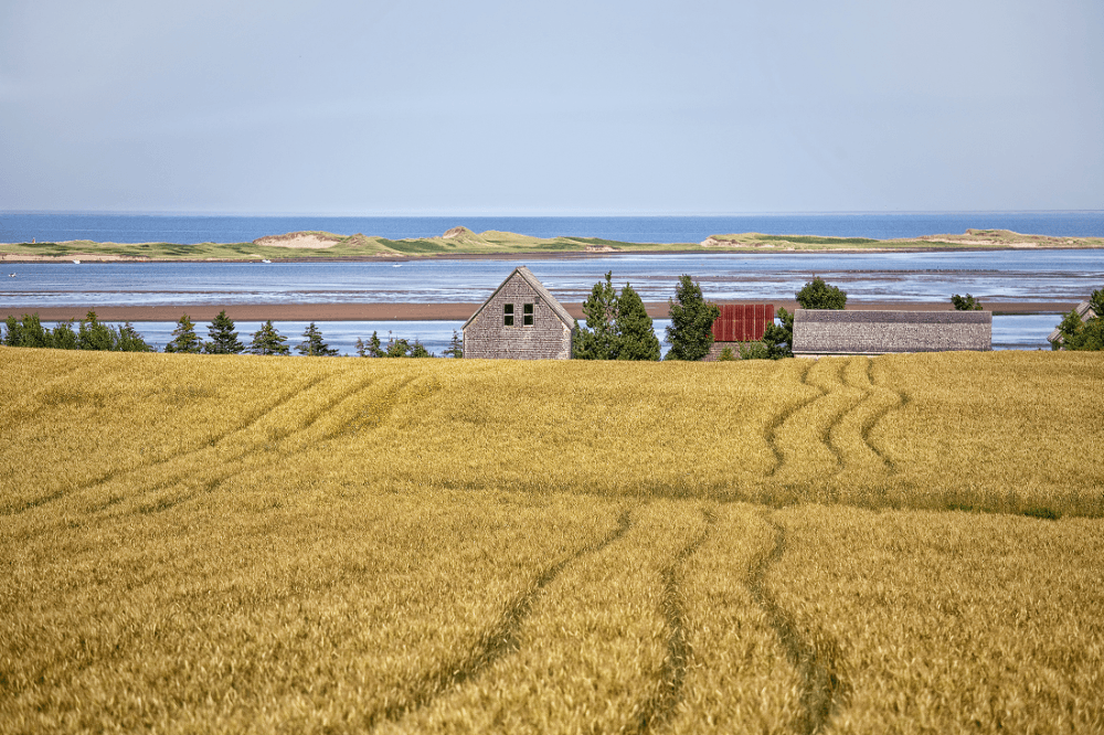 PEI Shore